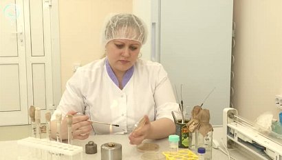 Новосибирские учёные создают влагоудерживающие гели для аграриев