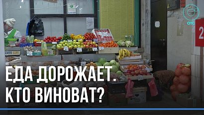 Предельный уровень наценок на некоторые продукты могут снизить в Новосибирской области