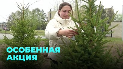 125 деревьев высадили в сквере «Милосердие» областной больницы