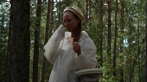 Грибной сезон в Сибири: как не заблудиться в лесу