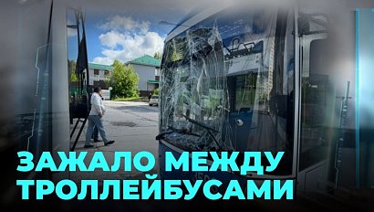 Водителю троллейбуса грозит до пяти лет колонии за смерть коллеги