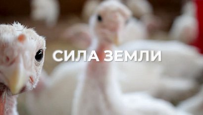 Программа "СИЛА ЗЕМЛИ" | 08 сентября 2023 | Телеканал ОТС