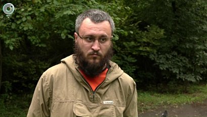 Секреты удачного сбора грибов: что влияет на урожай помимо дождей?