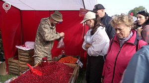 В Новосибирской области в этом году организуют почти 2200 ярмарок
