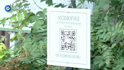 Аудиогид в новосибирском дендропарке: экскурсии без экскурсовода
