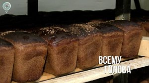 В России обновляют требования к хлебу впервые за 40 лет