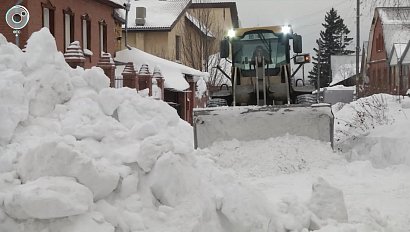 Новосибирские активисты помогают чистить дворы от снега