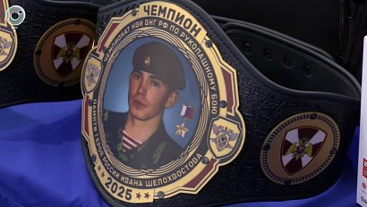 Финальный этап турнира памяти Героя России Ивана Шелохвостова прошёл в Новосибирске