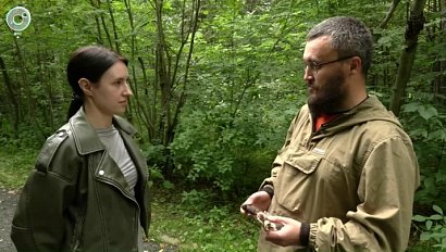 НОВОСТИ УТРА – 11 августа 2025