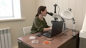 Уникальные разработки сибирских учёных помогают аграриям выращивать здоровые овощи