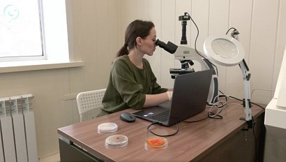 Уникальные разработки сибирских учёных помогают аграриям выращивать здоровые овощи