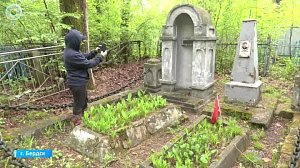 1600 захоронений оцифровали на старом кладбище Бердска