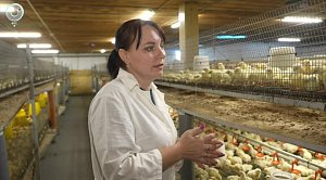 НОВОСТИ в 20:30 – 09 июня 2026