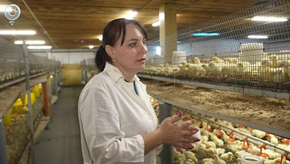 НОВОСТИ в 20:30 – 09 июня 2026