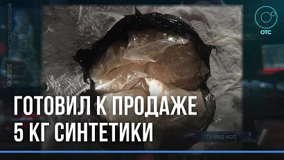 Тайник с пятью килограммами синтетики нашли в лесу Новосибирска