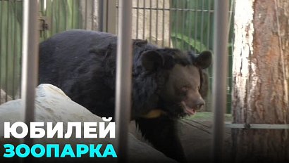 Новосибирский зоопарк отметил 75 лет