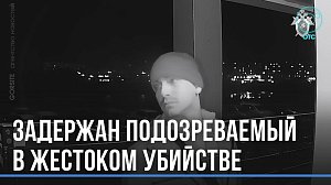 Предполагаемый убийца молодой девушки задержан в Новосибирске