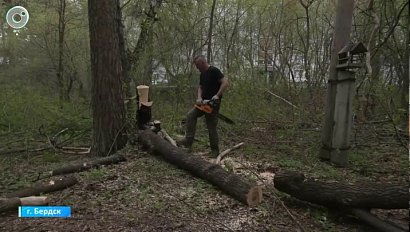 В Бердске планируют создать парк авиаторов в память о лётчиках-героях Великой Отечественной войны