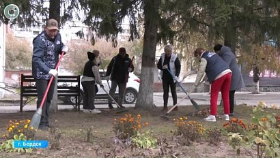 Бердск выходит на осенний субботник