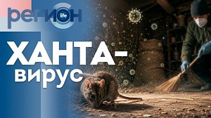 Хантавирус | ОТС LIVE — прямая трансляция
