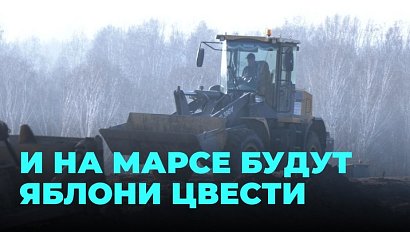 Бывшую незаконную свалку начали преображать в зелёную зону