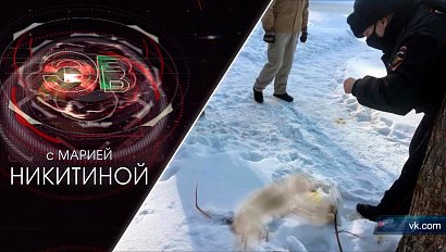 Экстренный вызов | 04 февраля 2021 | Происшествия Новосибирской области | Телеканал ОТС