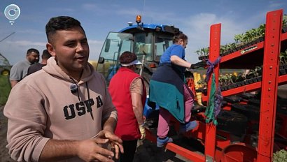 Аграрии Новосибирской области начали посев овощей и сои