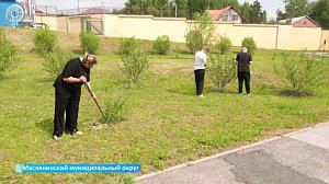 Агроклассы из Маслянинского округа станут примером для всей страны