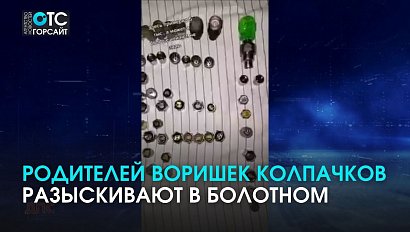 Кто выиграет баттл? В Болотном ищут тиктокеров, укравших колпачки с ниппелей