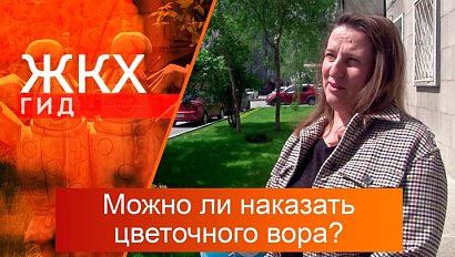 Можно ли наказать цветочного вора? | Гид ЖКХ – 03 июня 2025