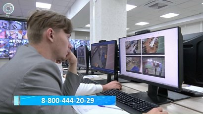 Выборы под контролем: как наблюдатели следят за процессом голосования