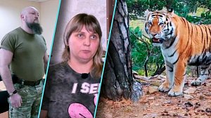 Программа "Итоги недели" | 02 ноября 2025 | Телеканал ОТС