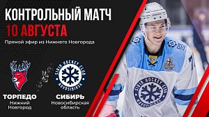Хоккей: «Сибирь» vs «Торпедо» (Нижний Новгород) – контрольный матч | ОТС LIVE