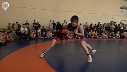 В Новосибирске завершился турнир по вольной борьбе памяти Никиты Сухих