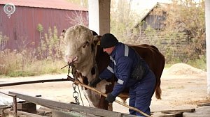 НОВОСТИ в 20:30 – 06 октября 2025