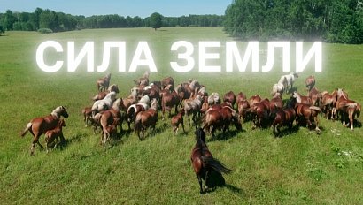 Программа "СИЛА ЗЕМЛИ" | 30 октября 2025 | Телеканал ОТС