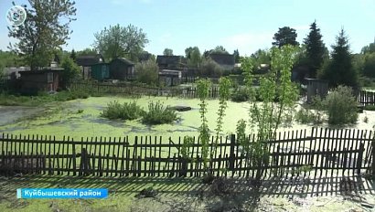 Десятки участков в Куйбышеве затоплены грунтовыми водами