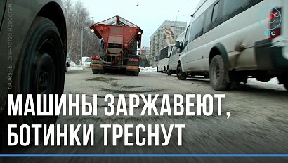 Лучше песочком. Новосибирские общественники попросили у мэрии убрать с дорог "Бионорд"