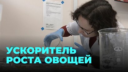 Уникальная разработка учёных позволит значительно ускорить рост овощей и повысить урожайность