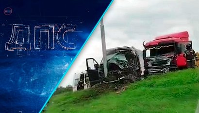 Программа "ДПС: Дорога. Перекресток. Судьба" | 29 августа 2025 | Телеканал ОТС