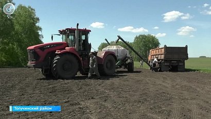 Посевную кампанию заканчивают в полях Тогучинского района