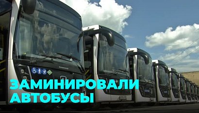 В Новосибирске сообщили о минировании общественного транспорта