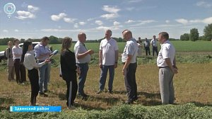 Студенты помогают аграриям в Новосибирской области