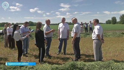 Студенты помогают аграриям в Новосибирской области