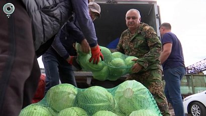 Гуманитарный груз для бойцов СВО отправили из Новосибирской области