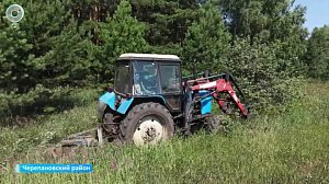 В Черепановском районе не зарегистрировано ни одного лесного пожара за шесть лет