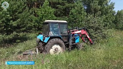 В Черепановском районе не зарегистрировано ни одного лесного пожара за шесть лет