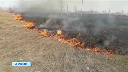 Первые возгорания травы в Новосибирской области зафиксировали со спутников
