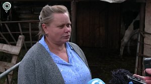 Новосибирская область восстанавливает хозяйства после эпидемии