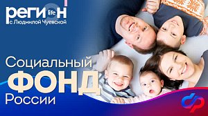 Регион LIFE | Социальный фонд России | ОТС LIVE — прямая трансляция
